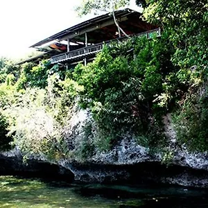 Bohol Bee Farm Отель
